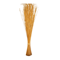 A large stick of grass displayed prominently against a solid black background.